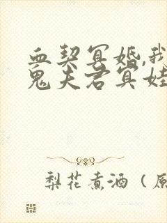 血契冥婚,我的鬼夫君冥娃