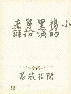 老舅里杨小姐是谁扮演的封面