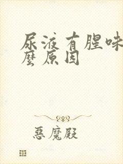 尿液有腥味是什么原因