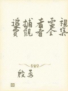 追捕者电视剧免费观看全集