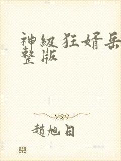 神级狂婿岳风完整版