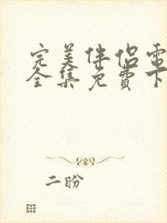 完美伴侣电视剧全集免费下载