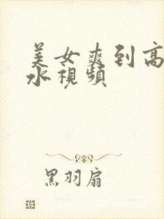 美女爽到高潮喷水视频