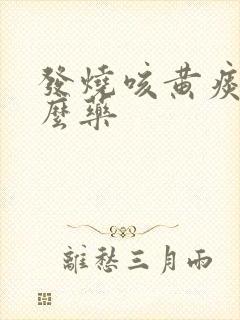 发烧咳黄痰吃什么药封面