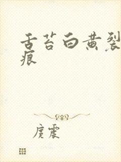 舌苔白黄裂纹齿痕