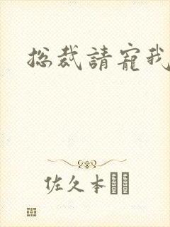 总裁请宠我封面