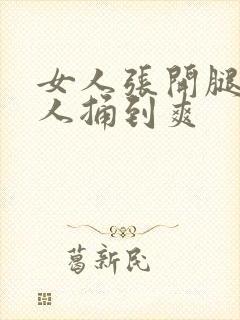 女人张开腿让男人捅到爽封面