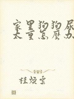 家里狗狗尿骚味太重怎么办