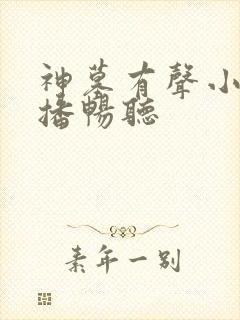 神墓有声小说合播畅听