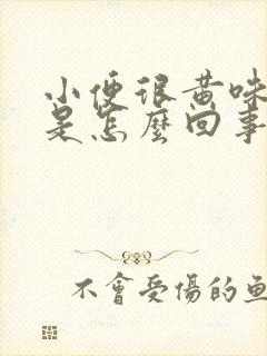 小便很黄味道重是怎么回事