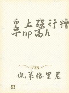 皇上强行糟蹋太子np高h