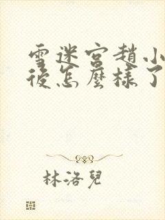 雪迷宫赵小光最后怎么样了封面