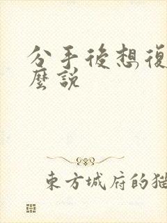 分手后想复合怎么说封面