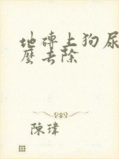 地砖上狗尿味怎么去除