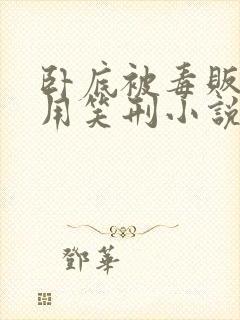 卧底被毒贩抓住用笑刑小说