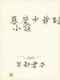 恶魔少爷别惹我 小说