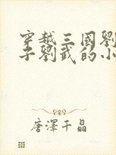 穿越三国刘备长子刘武的小说