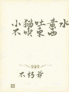 小猫吐黄水拉稀不吃东西