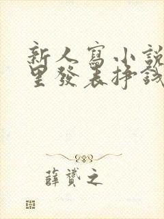 新人写小说在哪里发表挣钱