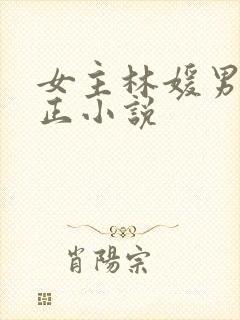 女主林媛男主小正小说