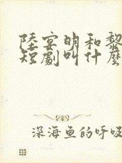 陆宴明和黎甄的短剧叫什么封面