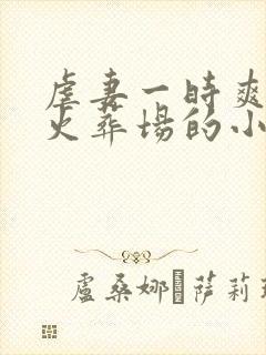 虐妻一时爽追妻火葬场的小说