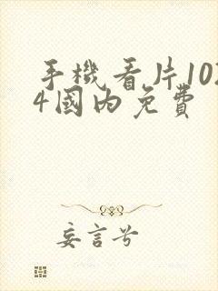 手机看片1024国内免费