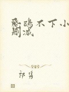 飞鸥不下小说未删减