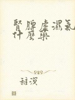 肾脾虚湿气重吃什么药