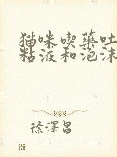 猫咪吃药吐白色粘液和泡沫