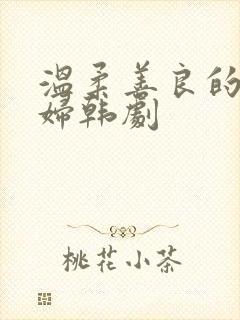 温柔善良的儿媳妇韩剧