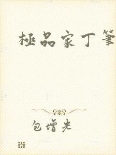 极品家丁笔趣阁封面