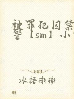 被罪犯囚禁的刑警【sm】小说