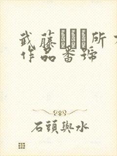 武藤あやか所有作品番号封面