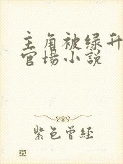 主角被绿升官的官场小说