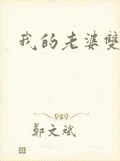 我的老婆双胞胎