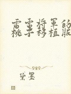 雷电将军的惩罚桃子移植版下载