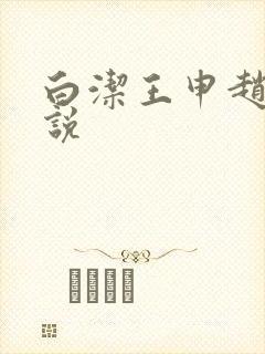 白洁王申赵振小说