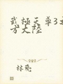 武极天尊3之魔方大陆封面