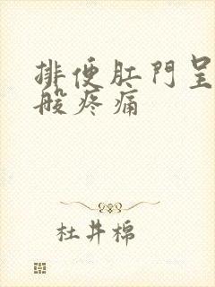 排便肛门呈撕裂般疼痛