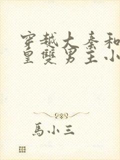 穿越大秦和秦始皇双男主小说