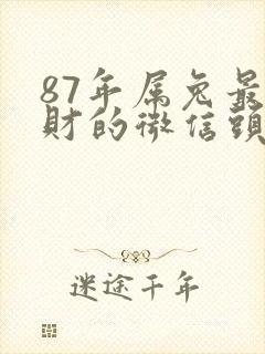 87年属兔最旺财的微信头像