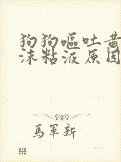 狗狗呕吐黄水泡沫粘液原因封面