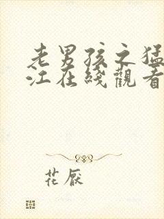 老男孩之猛龙过江在线观看高清封面