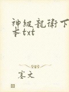 神级龙卫下载全本txt
