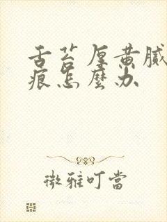 舌苔厚黄腻有齿痕怎么办封面