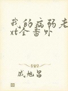 我的病弱老婆txt全番外