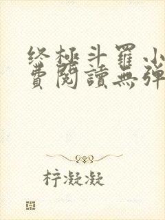 终极斗罗小说免费阅读无弹窗封面