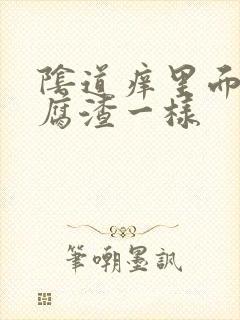 阴道痒里面像豆腐渣一样