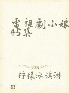 电视剧小娘惹第45集封面